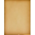 Carrelage mural beige 20x25 Tabacco - Paquet 1 m2