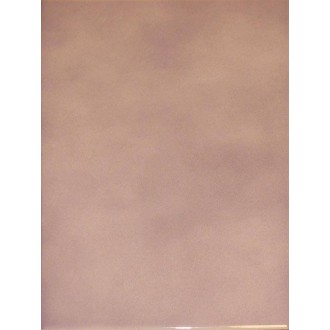 Carrelage mural violet brillant 20X25 Silver - Paquet 1 m² 	