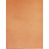 Carrelage mural saumon rose 20X25 - Paquet 1 m² 