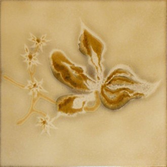 Faience beige mate Décor orchidée 20X20 Cristallo - Paquet 1 m² 