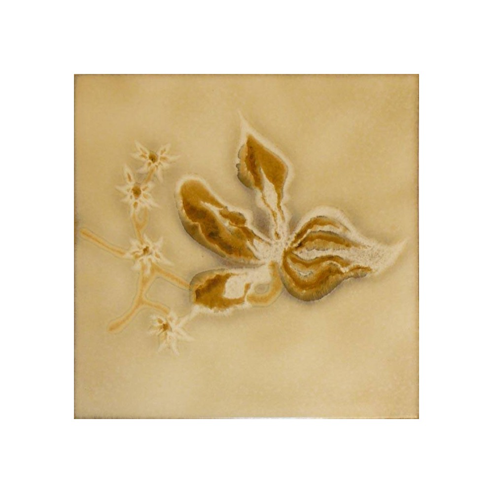Faience beige mate Décor orchidée 20X20 Cristallo - Paquet 1 m² 