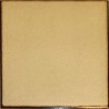 Faience Silver lunaire beige marron 20x20 - Paquet 1 m2 