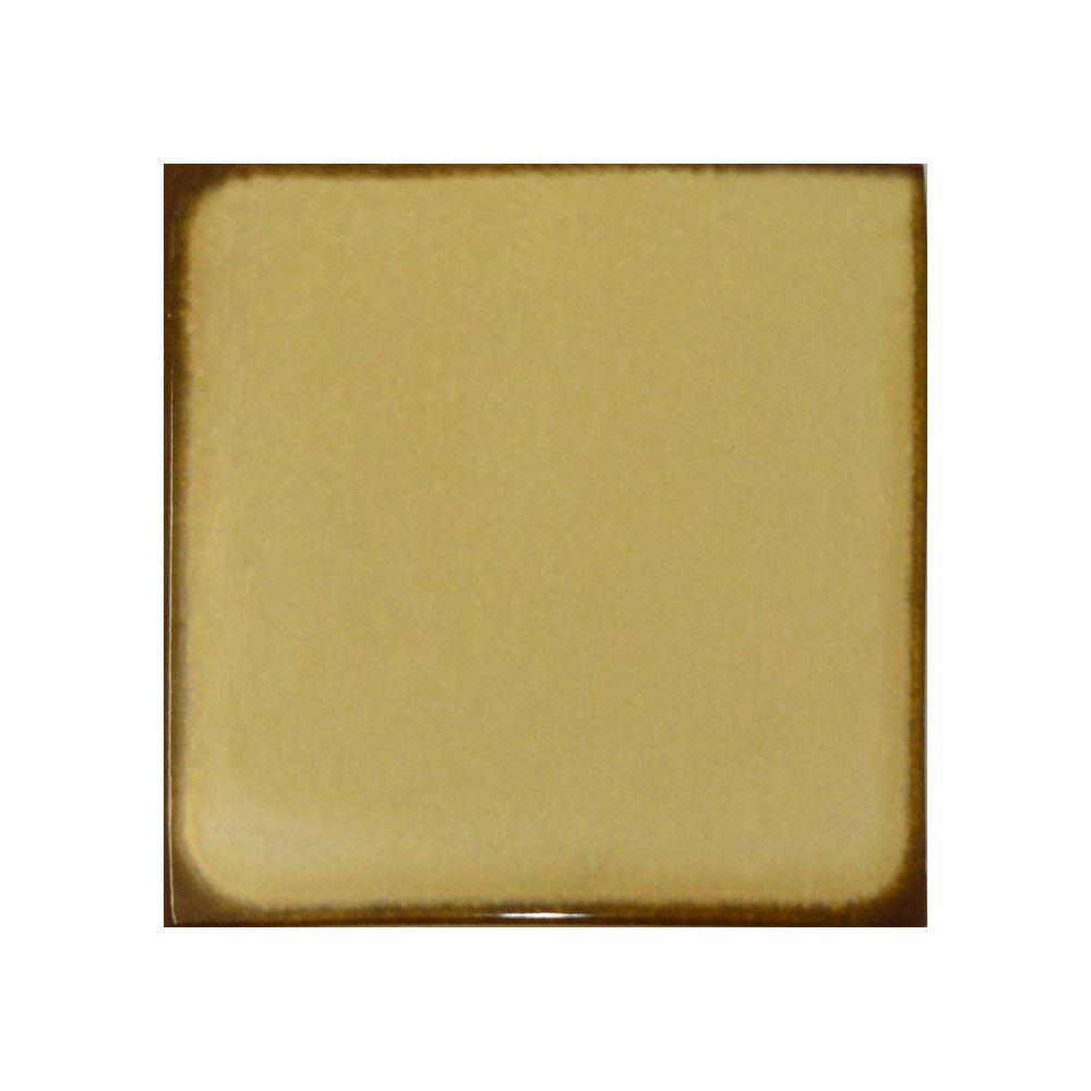 Faïence beige bord marron 15X15 Pastorelli - Lot 0,90 m² + 4 Décors Raisin