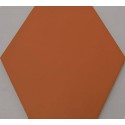 Tomette hexagonale 12x14 cm - La pièce
