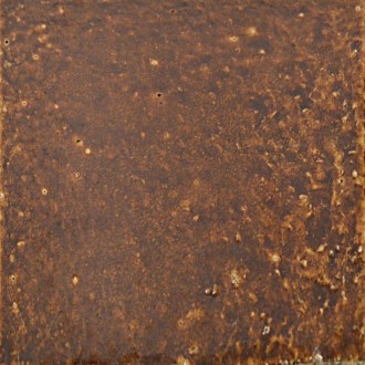 Carrelage marron brillant Ceralave 25x25 Longchamp - La pièce