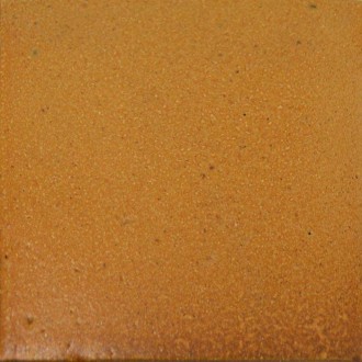 Carrelage caramel 16x16 Longchamp - La pièce