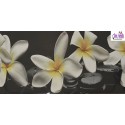 Carrelage galet fleur noir blanc 20x60 - La pièce