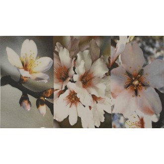 Décor carrelage fleur amandier rose 25x50 - La pièce