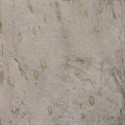 Carrelage gris antidérapant imitation pierre 30x30 Gres Aragon Itaca gris - Paquet 0.99 m2