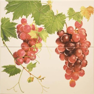 Décor carrelage raisin blanc 60x60 - La pièce
