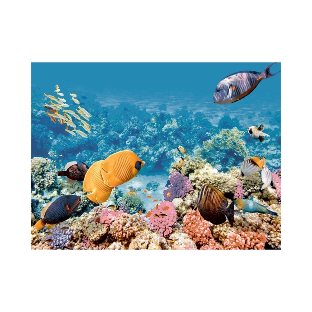 Carrelage poissons océan bleu 40x60 - La pièce