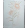 Faïence beige Décor fleur n°2 15x20 Grespania - Paquet 1 m2 